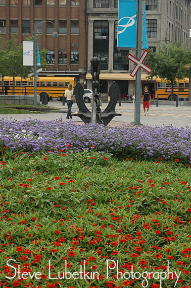 DSC_7550.JPG