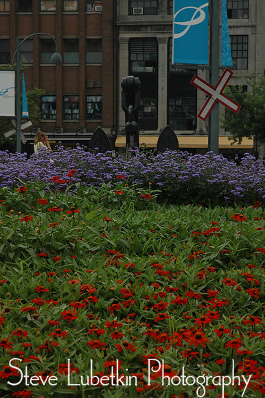 DSC_7549.JPG