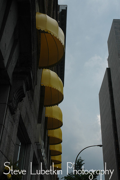 DSC_7781.JPG