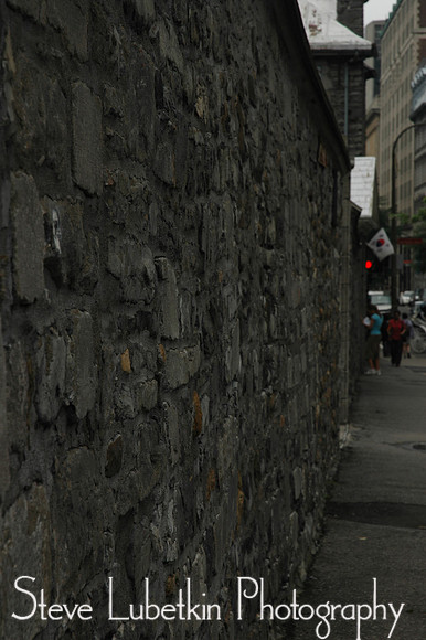 DSC_7499.JPG
