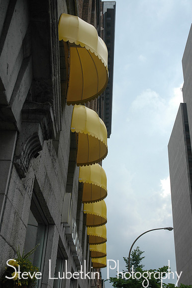 DSC_7780.JPG