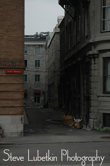 DSC_7756.JPG